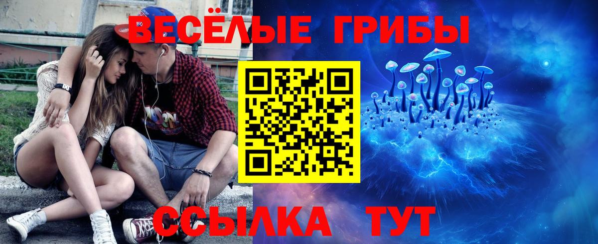 Псилоцибиновые грибы GOLDEN TEACHER Городец